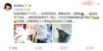 小说推文读心吃瓜娱乐圈,读心吃瓜，揭秘明星内心世界